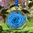 First Lady Jacqueline Kennedy Blue Rose Flower Ornament