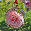 First Lady Mamie Eisenhower Pink Rose Flower Ornament