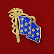 Commander-in-Chief Flag Pin