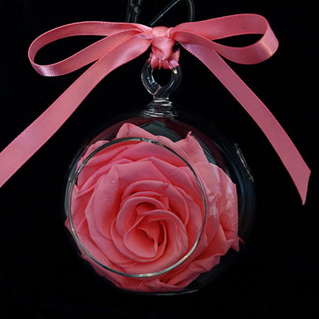 Pink Blush Rose Ornament