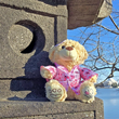 National Cherry Blossom Festival Kimono Teddy Bear