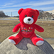 Red Washington, D.C. Teddy Bear